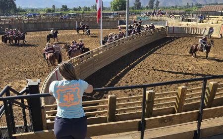 Rodeo